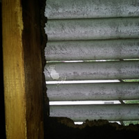 Insect Exclusion Service 