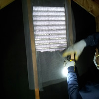 Insect Exclusion Service 