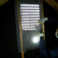 Insect Exclusion Service 