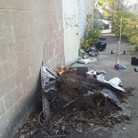 Animal Rodent Control Clean Up 