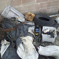 Animal Rodent Control Clean Up 