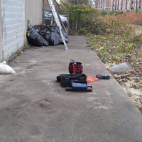 Animal Rodent Control Clean Up 