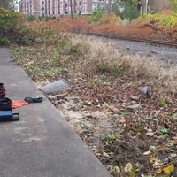 Animal Rodent Control Clean Up 